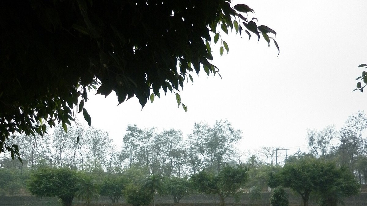 Trại hè con cháu trong họ: gắn kết thế hệ mới